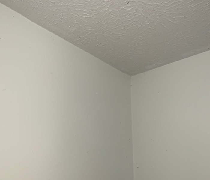 This image shows the mold removed and new paint in the closet.